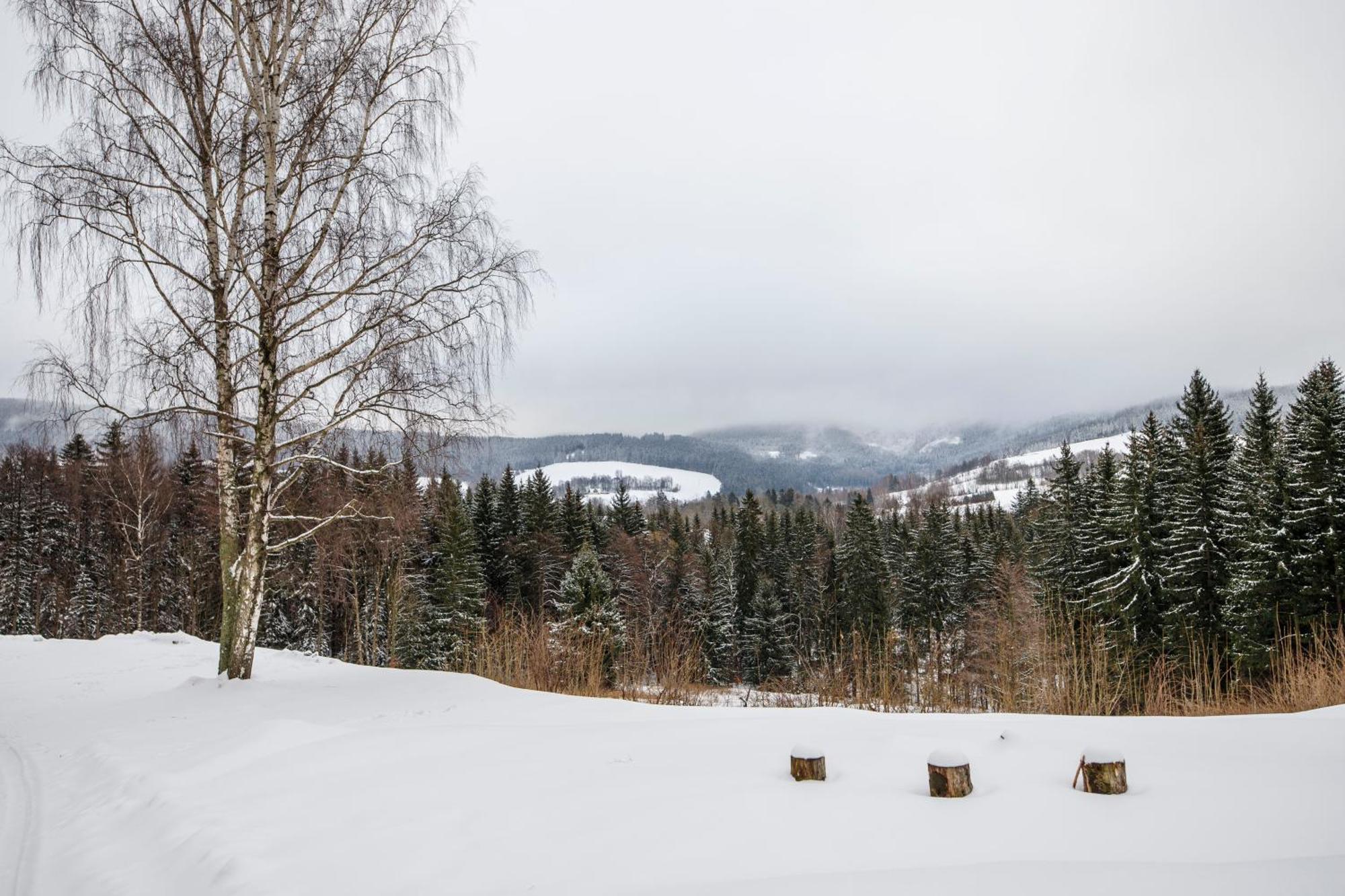 Aparthotel Panorama Destne v Orlickych horach